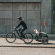 Thule Bexey M, dog bike trailer hazy green