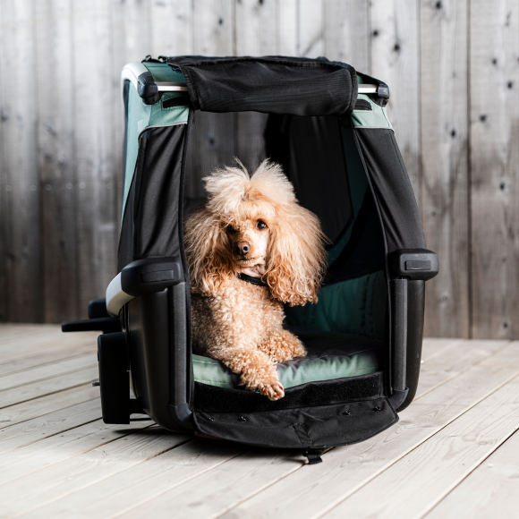 Thule Bexey M, dog bike trailer hazy green