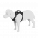Dog car harness L