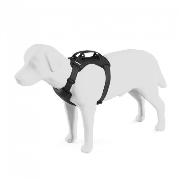 Dog car harness L