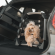 Car dog crate Thule Allax S 